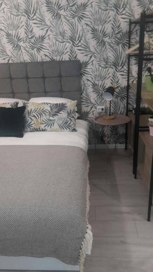 The Cozy Studio, Varna City Centre Exteriör bild